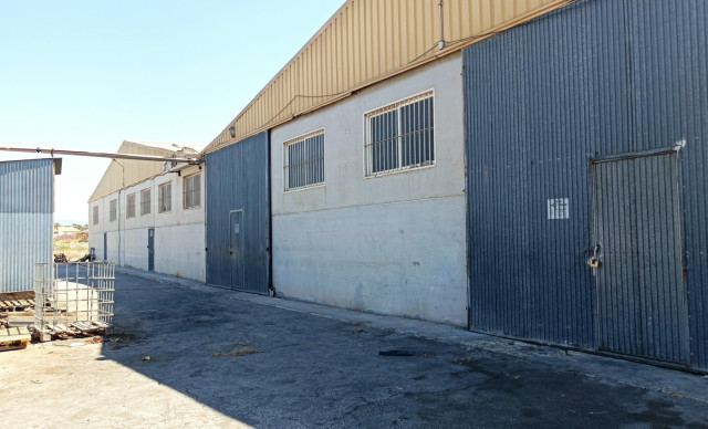 Nave industrial - Alquiler a largo plazo - Elche pedanias - Alzabares