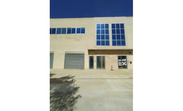 Oficina - Location longue durée - Elche pedanias - OF-55