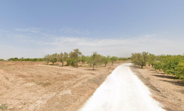 Parcela - Alquiler a largo plazo - Torrellano - TORRELLANO