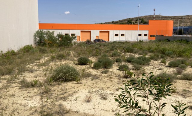 Terreno industrial - Sale - Aspe - T-38