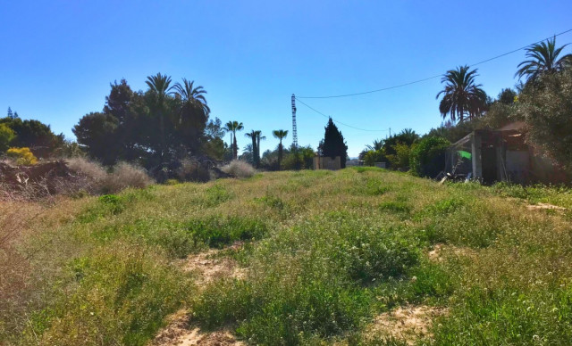 Terreno rural - Revente - Elche pedanias - Daimes