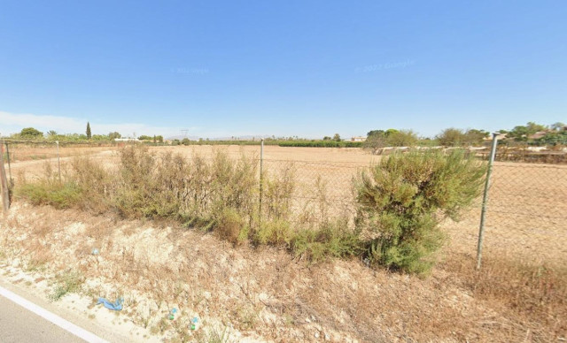Terreno rural - Sale - Elche pedanias - T-45