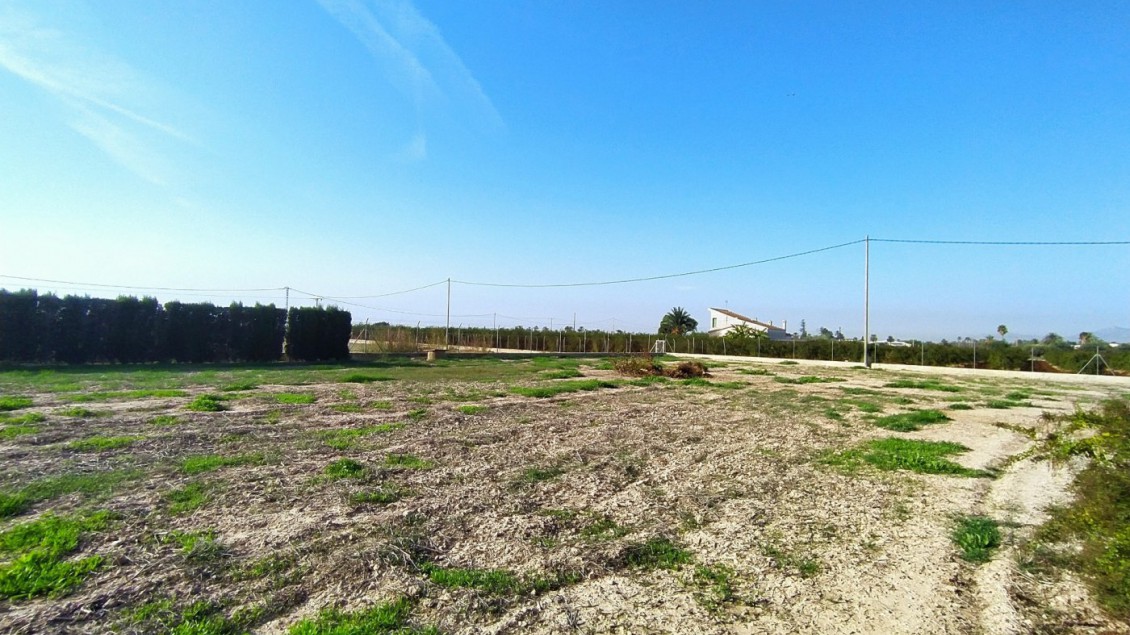 Revente - Chalet - Elche pedanias - Alzabares