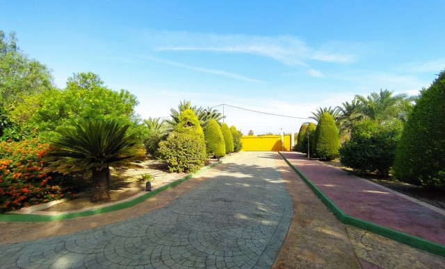 Revente - Chalet - Elche pedanias - Alzabares