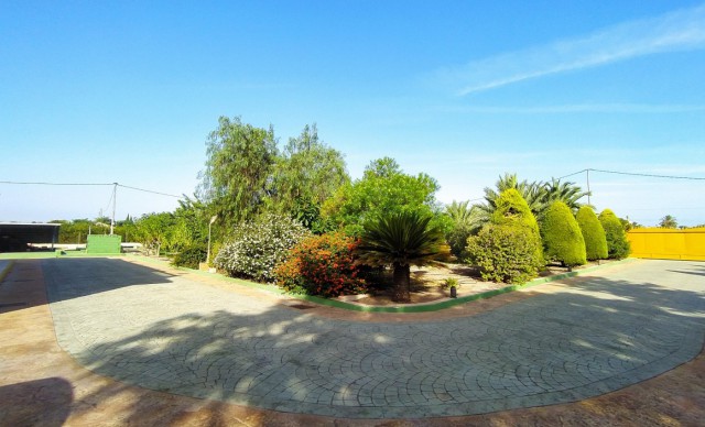 Revente - Chalet - Elche pedanias - Alzabares