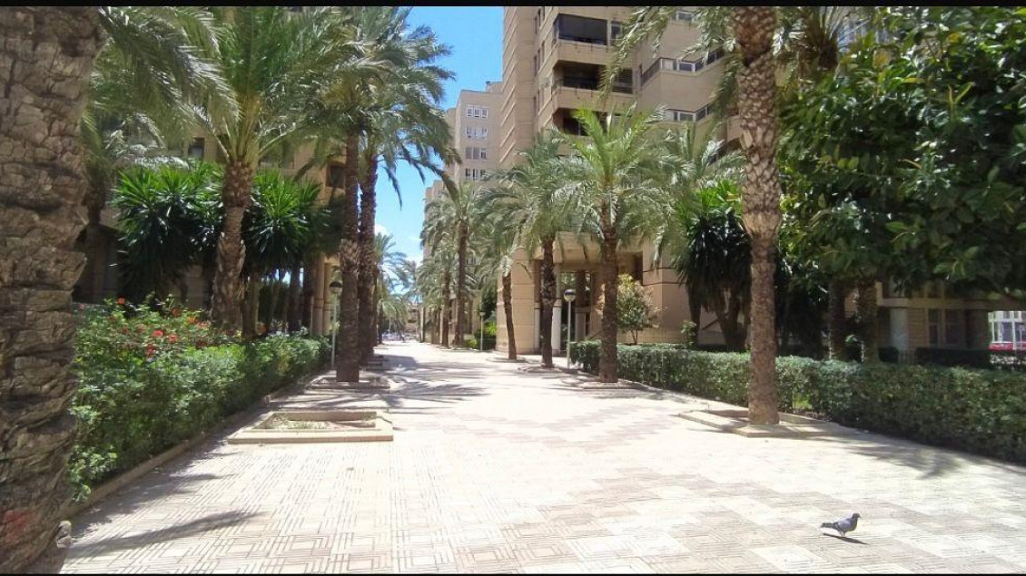 Sale - Piso - Elche - Centro