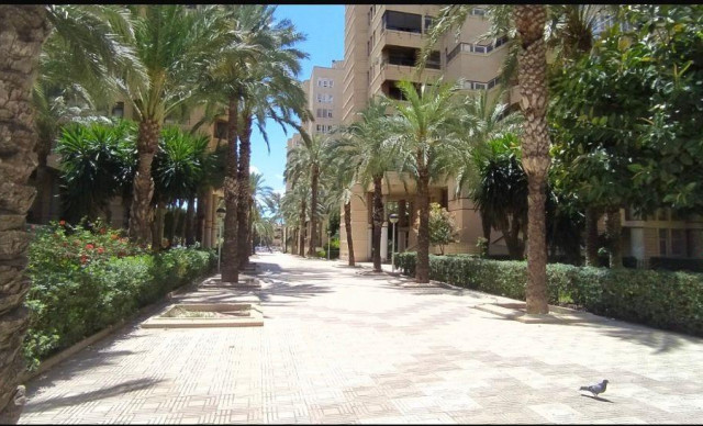 Sale - Piso - Elche - Centro