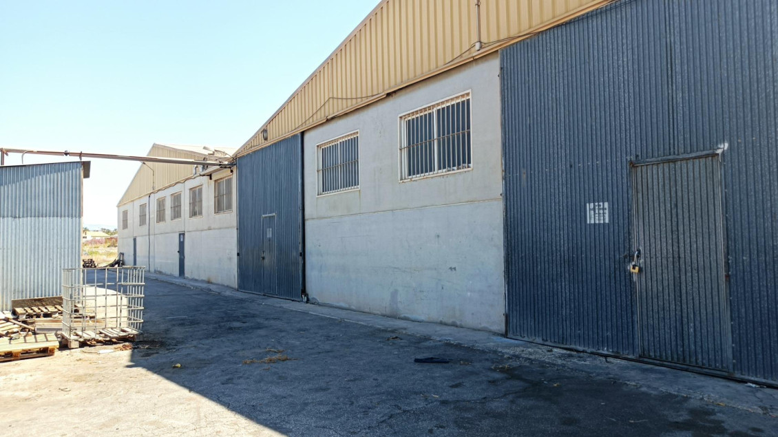 Long time Rental - Nave industrial - Elche pedanias - Alzabares