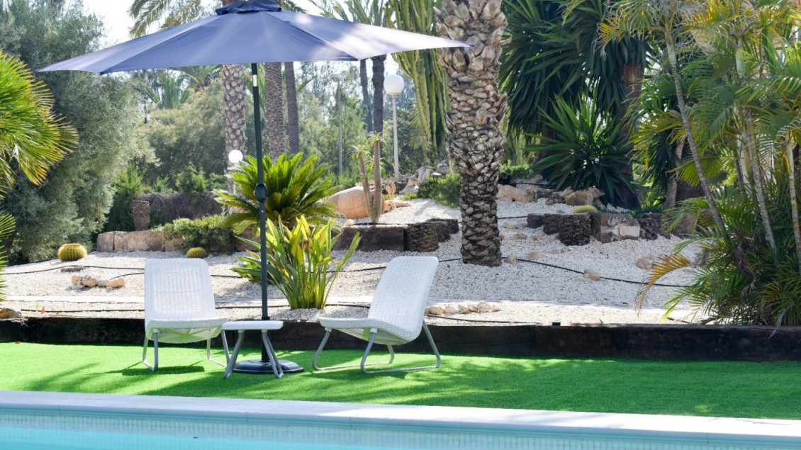 Location longue durée - Chalet - Elche - Centro