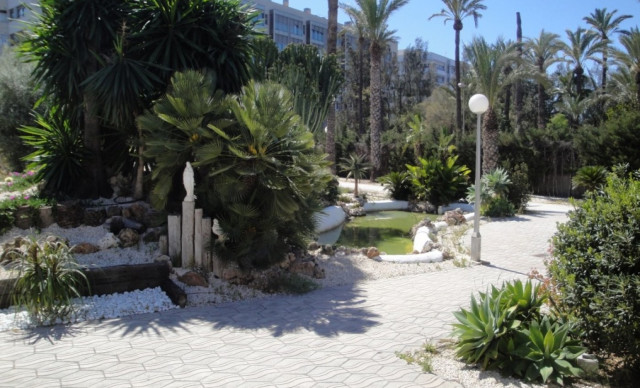 Location longue durée - Chalet - Elche - Centro