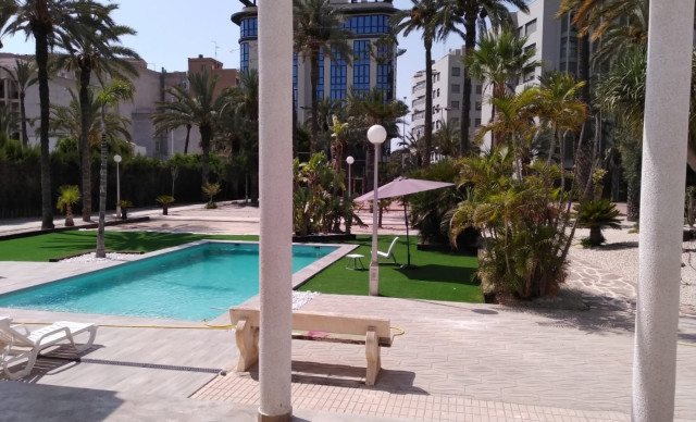 Location longue durée - Chalet - Elche - Centro