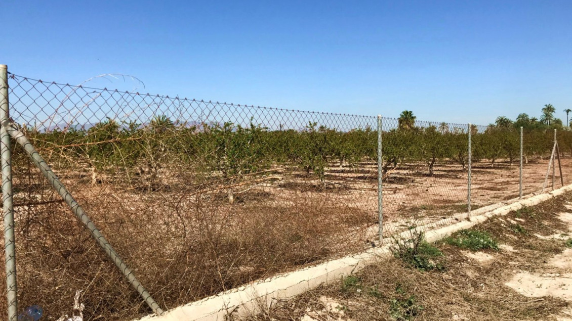 Venta - Finca rústica - Elche pedanias - Derramador