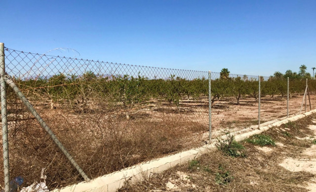 Venta - Finca rústica - Elche pedanias - Derramador