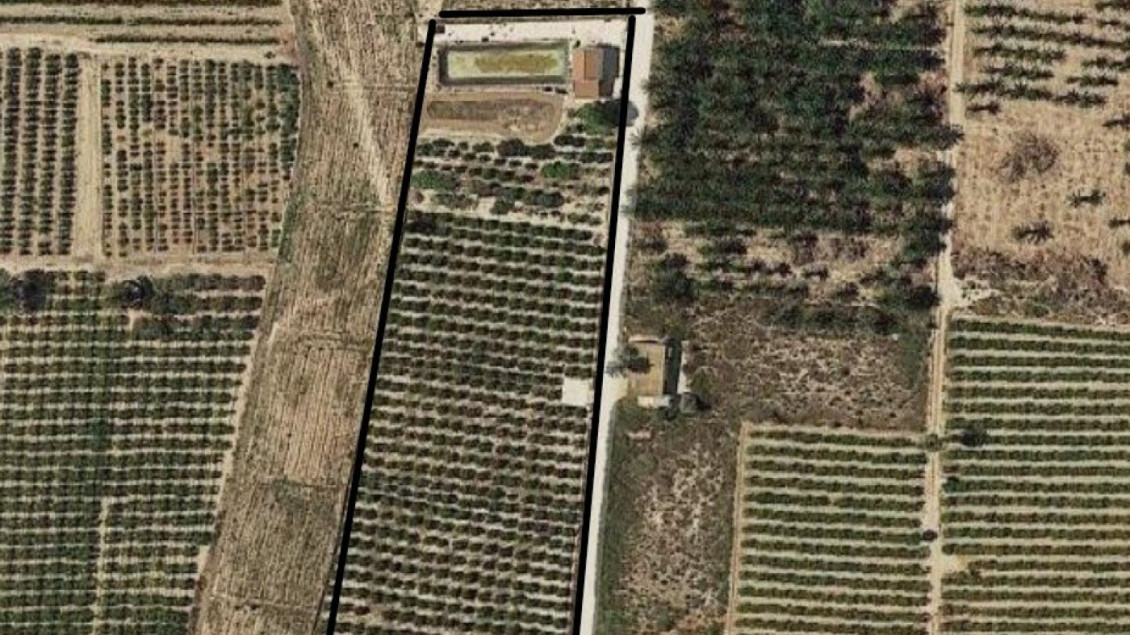 Venta - Finca rústica - Elche pedanias - Derramador