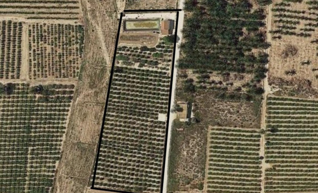 Venta - Finca rústica - Elche pedanias - Derramador