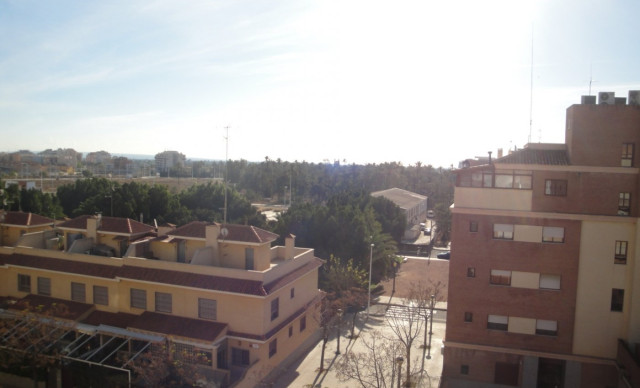 Location longue durée - Piso - Elche - Huerto de Travalón