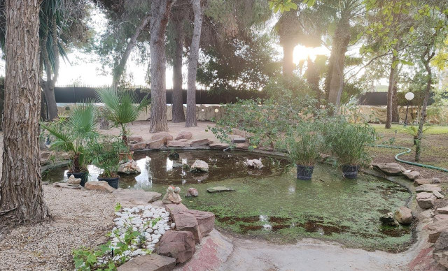 Venta - Chalet - Perleta - Maitino-Perleta