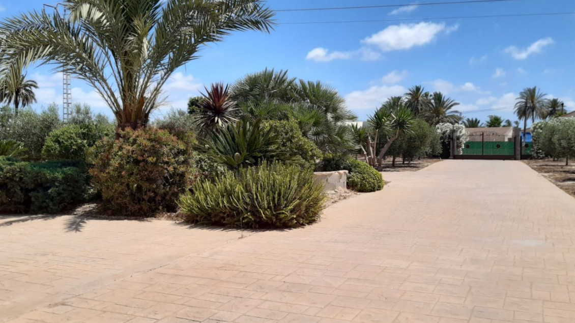 Alquiler a largo plazo - Chalet - Elche pedanias - La hoya