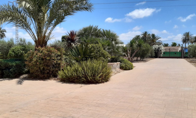 Alquiler a largo plazo - Chalet - Elche pedanias - La hoya