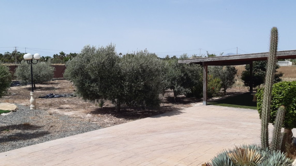 Alquiler a largo plazo - Chalet - Elche pedanias - La hoya