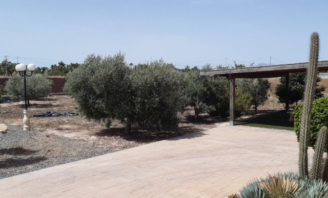 Alquiler a largo plazo - Chalet - Elche pedanias - La hoya