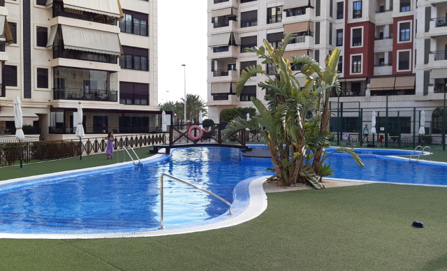 Long time Rental - Piso - Elche - Torreta - Portalada