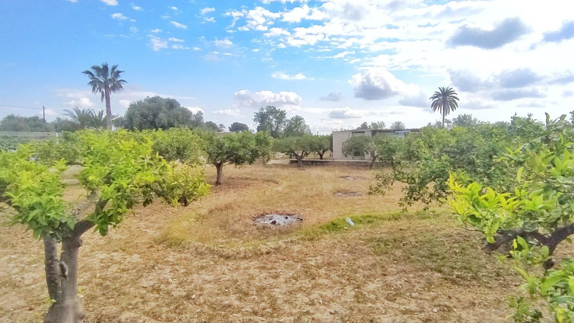 Venta - Chalet - Elche pedanias - Jubalcoi-Saladas