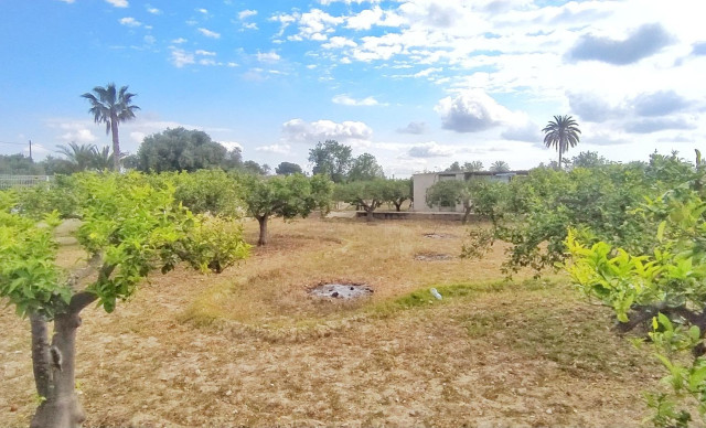 Venta - Chalet - Elche pedanias - Jubalcoi-Saladas