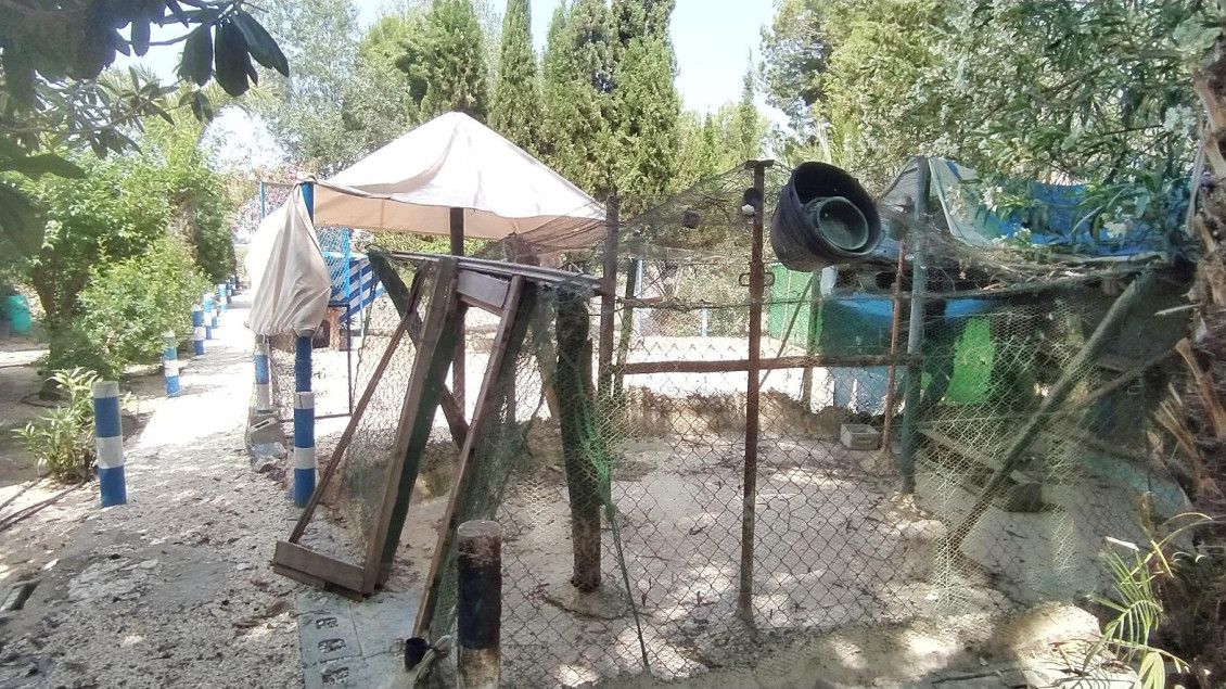 Sale - Chalet - Crevillent - CARRETERA nacional