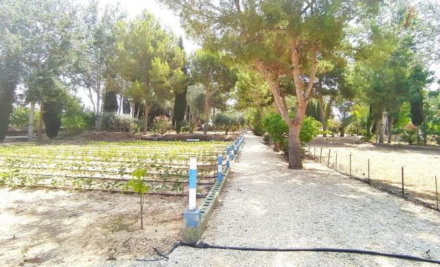 Sale - Chalet - Crevillent - CARRETERA nacional