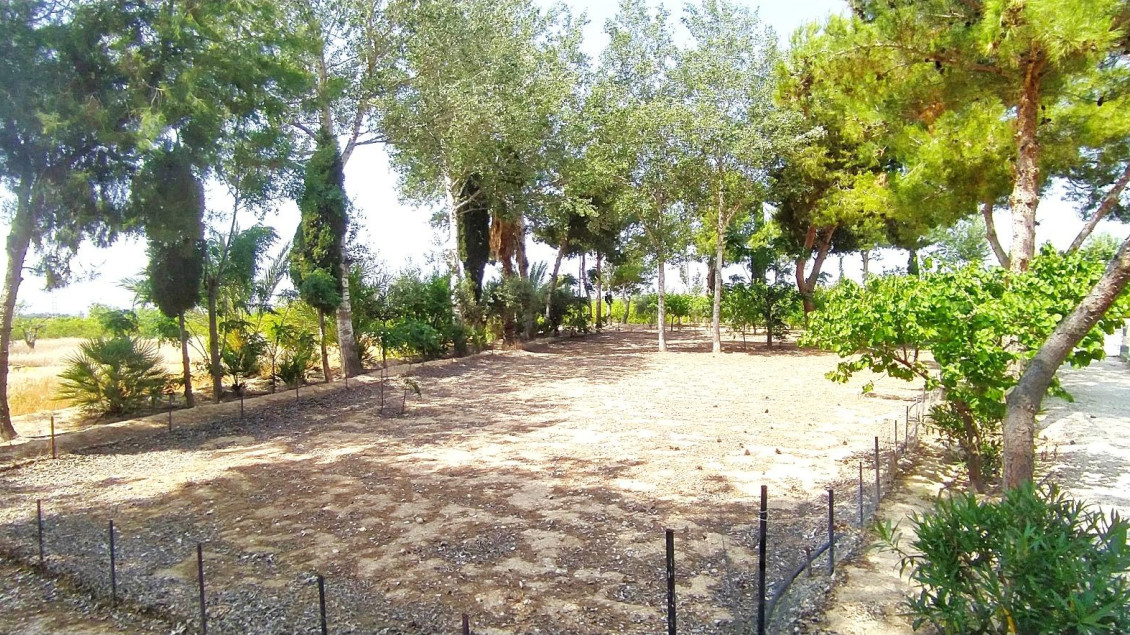 Sale - Chalet - Crevillent - CARRETERA nacional