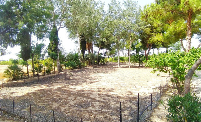 Sale - Chalet - Crevillent - CARRETERA nacional