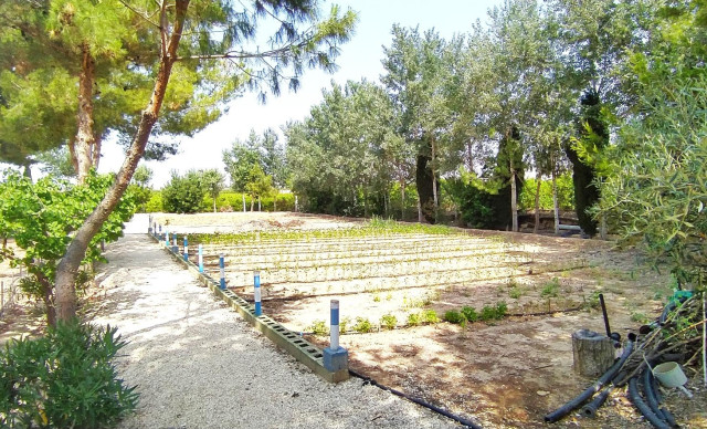 Sale - Chalet - Crevillent - CARRETERA nacional