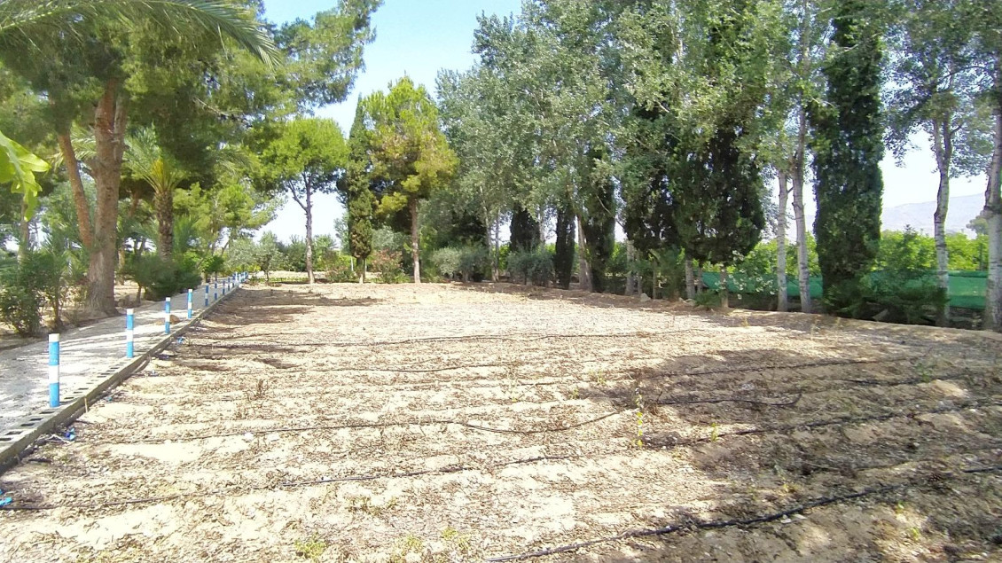 Sale - Chalet - Crevillent - CARRETERA nacional