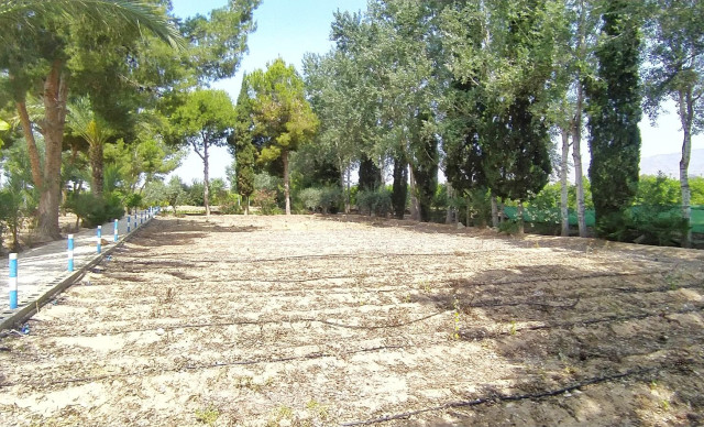 Sale - Chalet - Crevillent - CARRETERA nacional