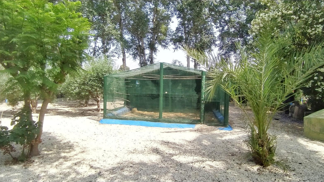 Sale - Chalet - Crevillent - CARRETERA nacional