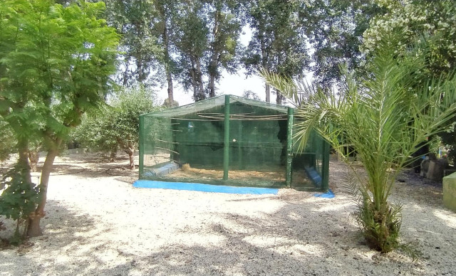 Sale - Chalet - Crevillent - CARRETERA nacional