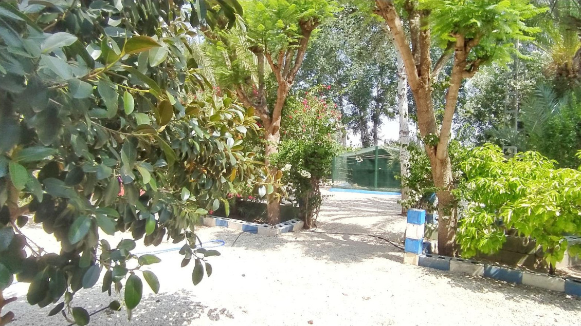 Sale - Chalet - Crevillent - CARRETERA nacional