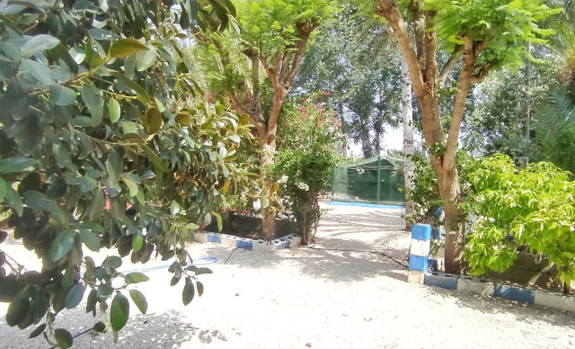 Sale - Chalet - Crevillent - CARRETERA nacional