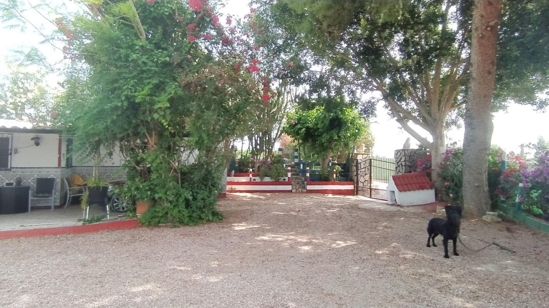 Sale - Chalet - Crevillent - CARRETERA nacional