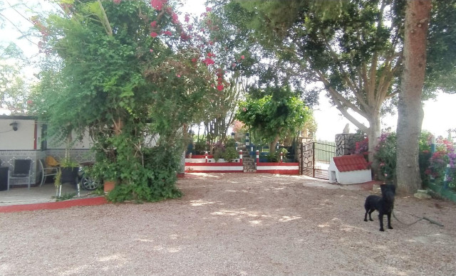 Sale - Chalet - Crevillent - CARRETERA nacional