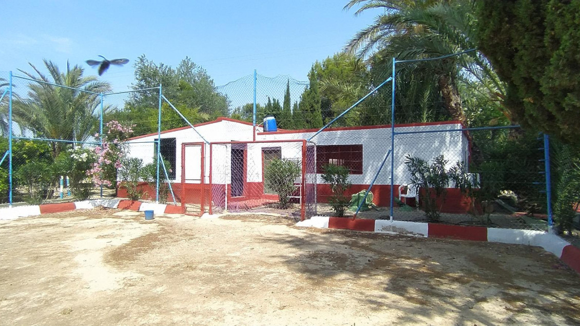 Sale - Chalet - Crevillent - CARRETERA nacional