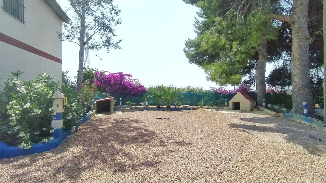 Sale - Chalet - Crevillent - CARRETERA nacional