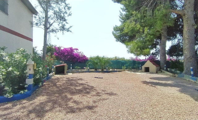 Sale - Chalet - Crevillent - CARRETERA nacional