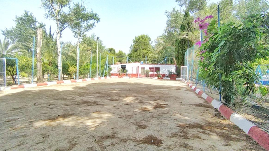 Sale - Chalet - Crevillent - CARRETERA nacional