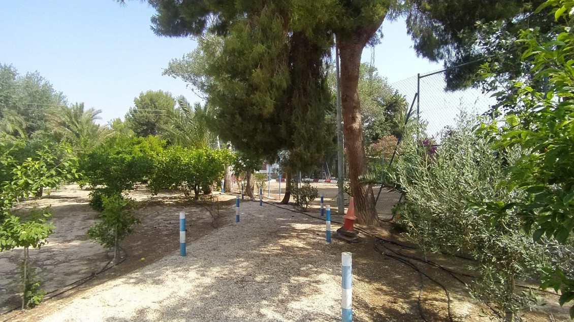 Sale - Chalet - Crevillent - CARRETERA nacional