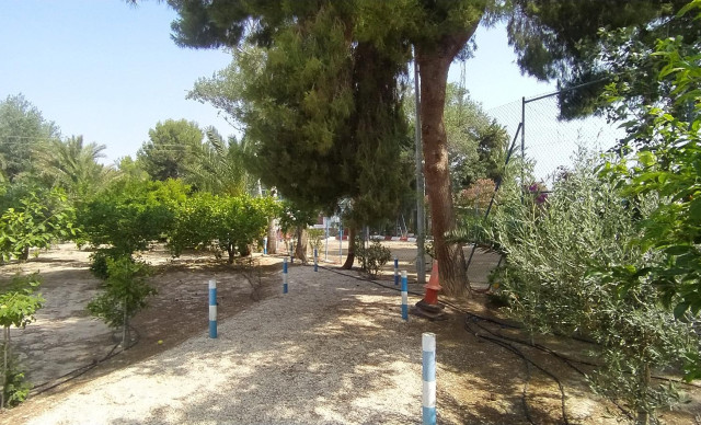 Sale - Chalet - Crevillent - CARRETERA nacional