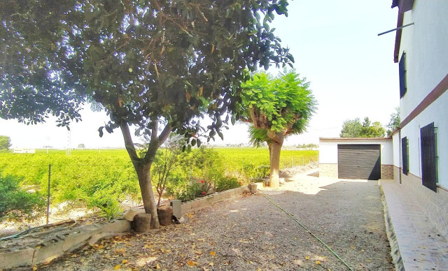 Revente - Chalet - Crevillent - Comunidad valenciana