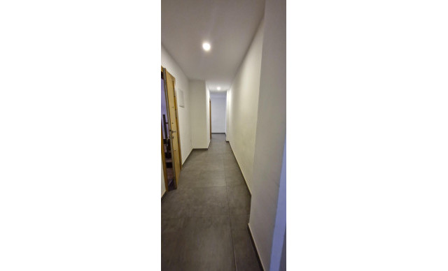 Long time Rental - Piso - Elche - Centro