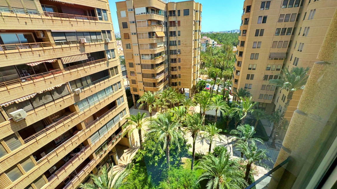 Venta - Piso - Elche - Centro